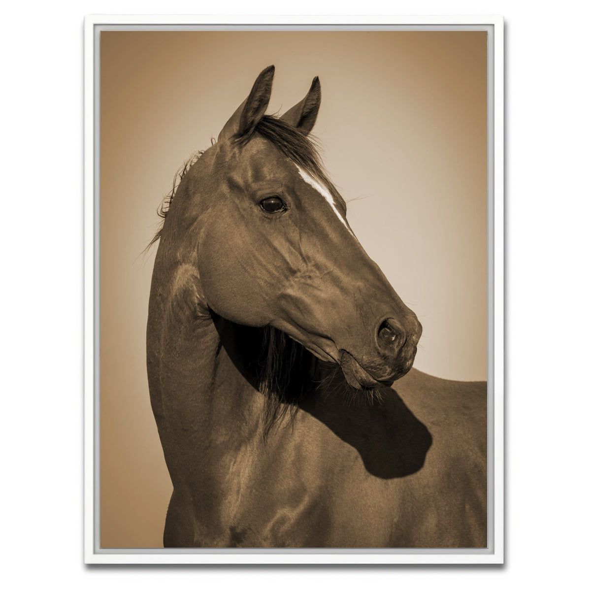 AUTO-MOCKUP WHITE | Quarter Horse | 1 Piece | White Framed Canvas | group=3x4