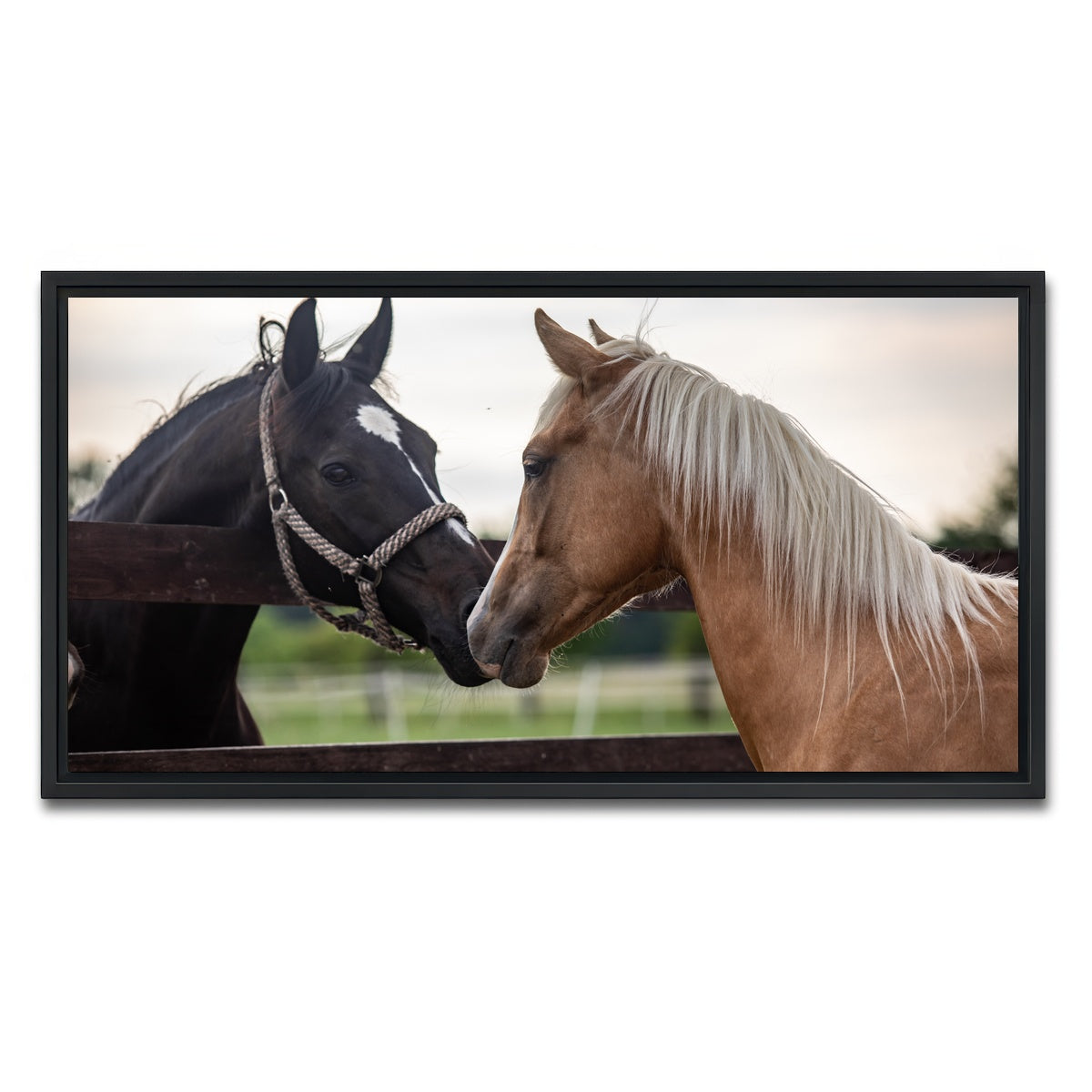 AUTO-MOCKUP WHITE | Quarter Horses | 1 Piece | Black Framed Canvas | group=2x1