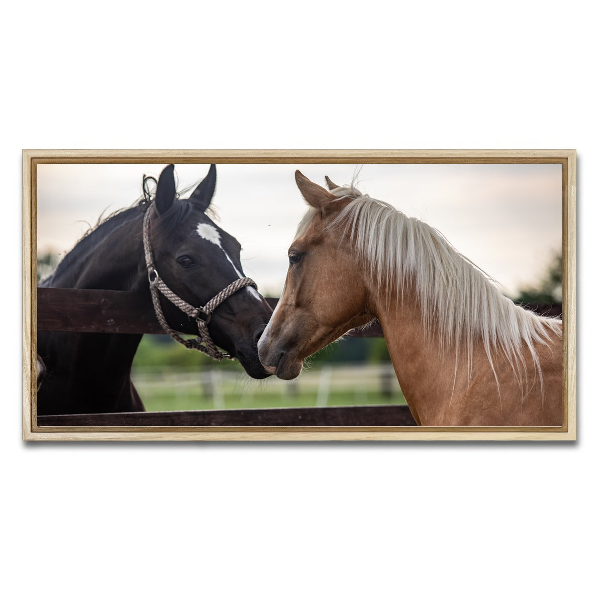 AUTO-MOCKUP WHITE | Quarter Horses | 1 Piece | Natural Framed Canvas | group=2x1