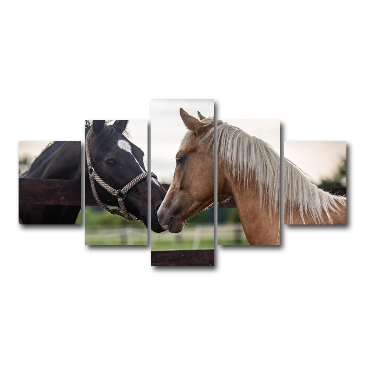 AUTO-MOCKUP WHITE | Quarter Horses | 5 Piece | Gallery Wrap Canvas | group=5_short