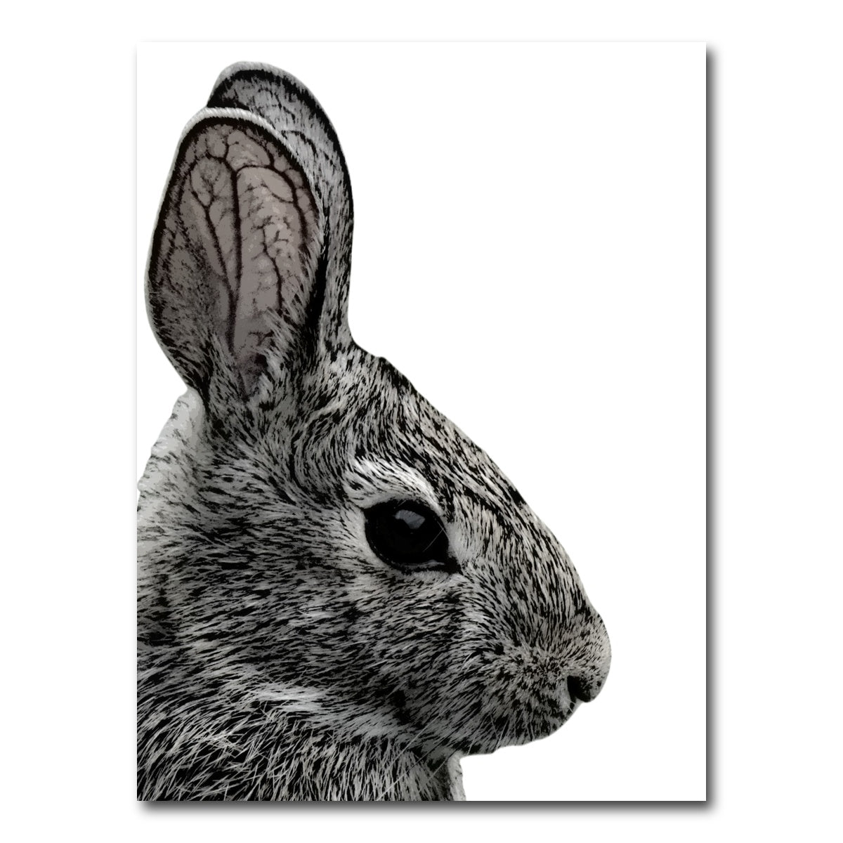 AUTO-MOCKUP WHITE | Rabbit Sketch | 1 Piece | Gallery Wrap Canvas | group=3x4