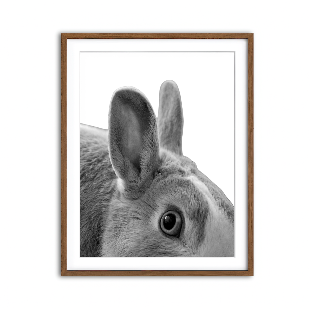 Framed Print 3x4 Walnut