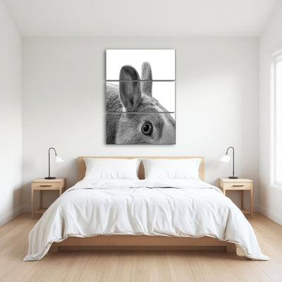 AUTO-MOCKUP ROOM | Rabbit