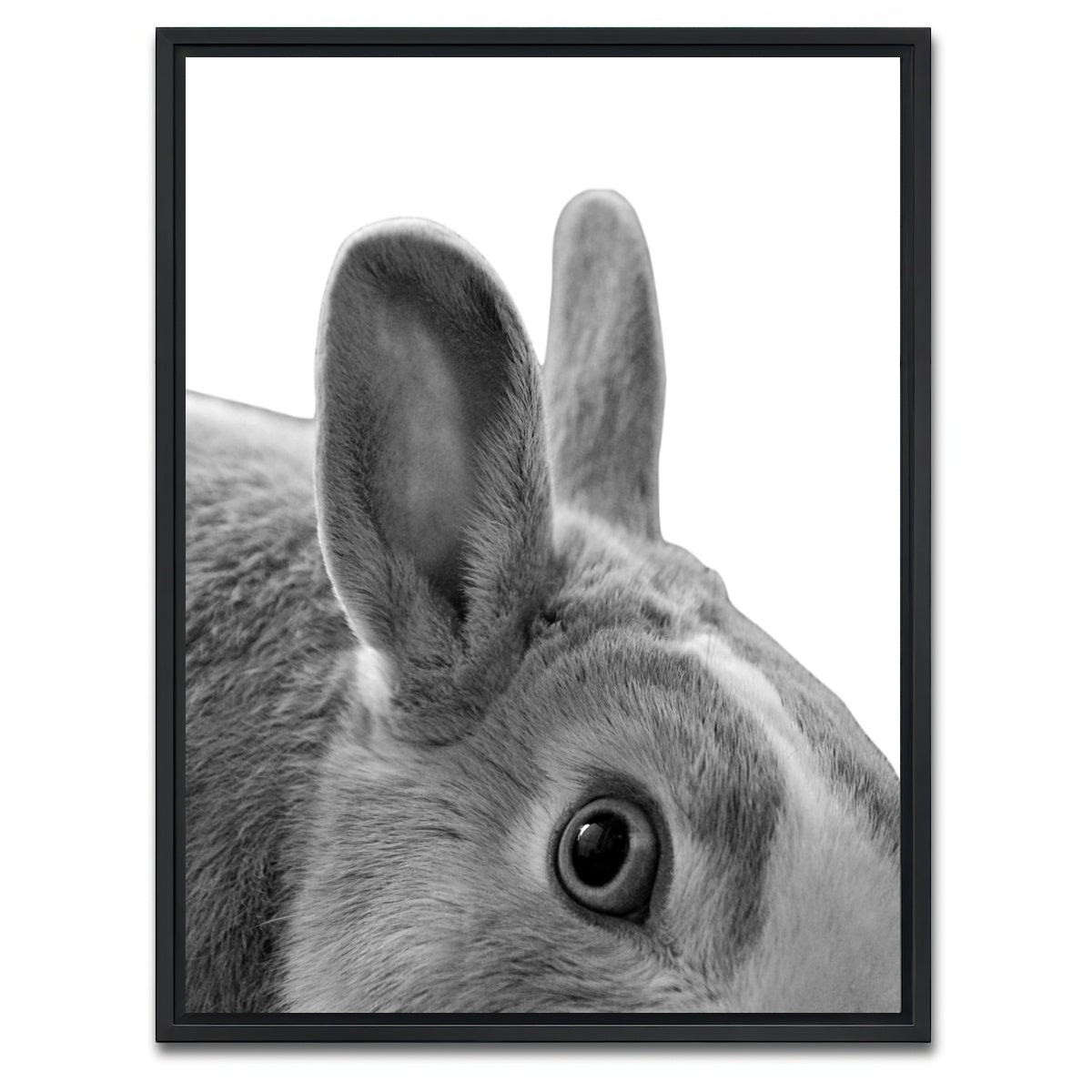 AUTO-MOCKUP WHITE | Rabbit | 1 Piece | Black Framed Canvas | group=3x4