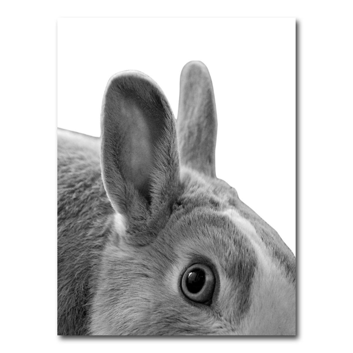 AUTO-MOCKUP WHITE | Rabbit | 1 Piece | Gallery Wrap Canvas | group=3x4
