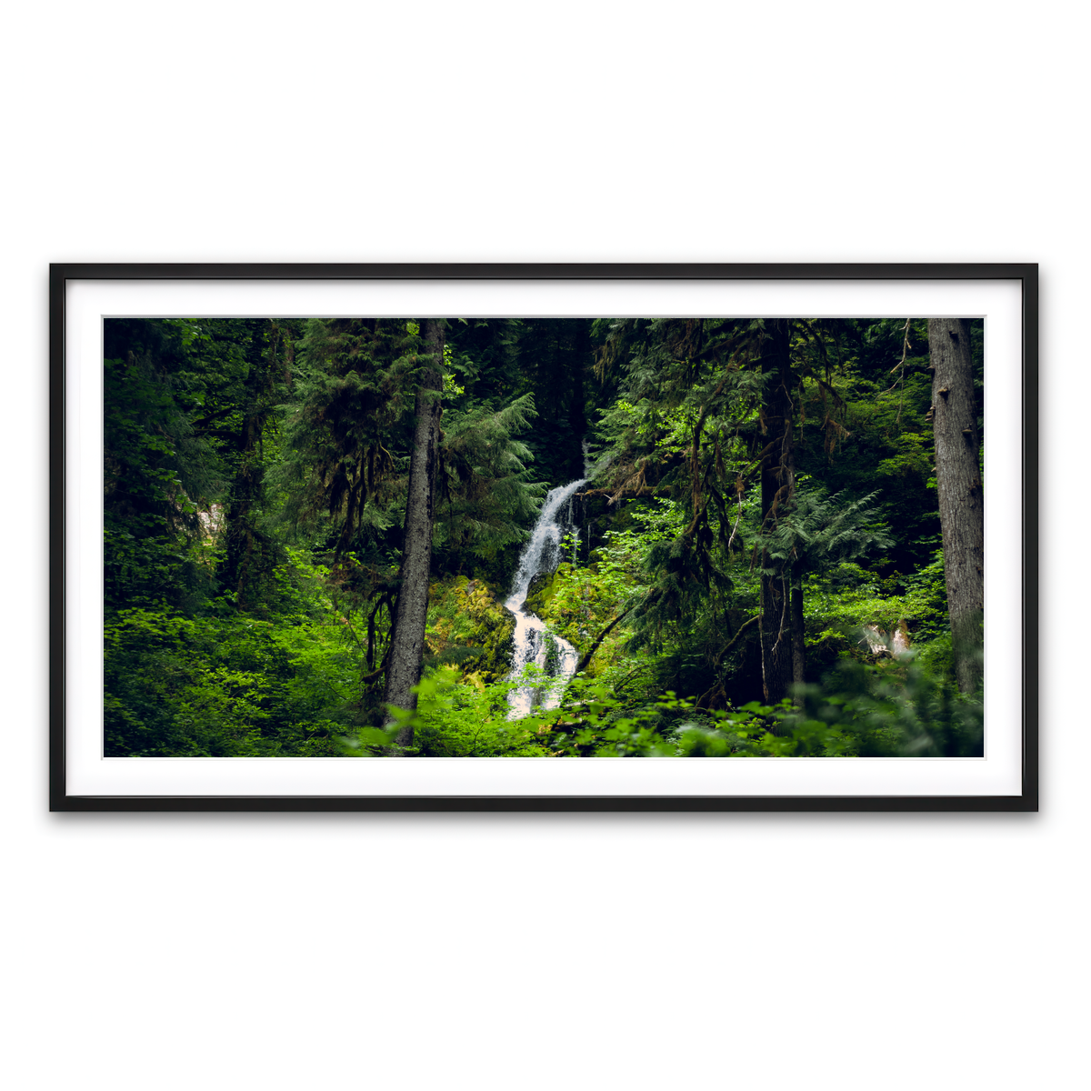 Framed Print 2x1 Black