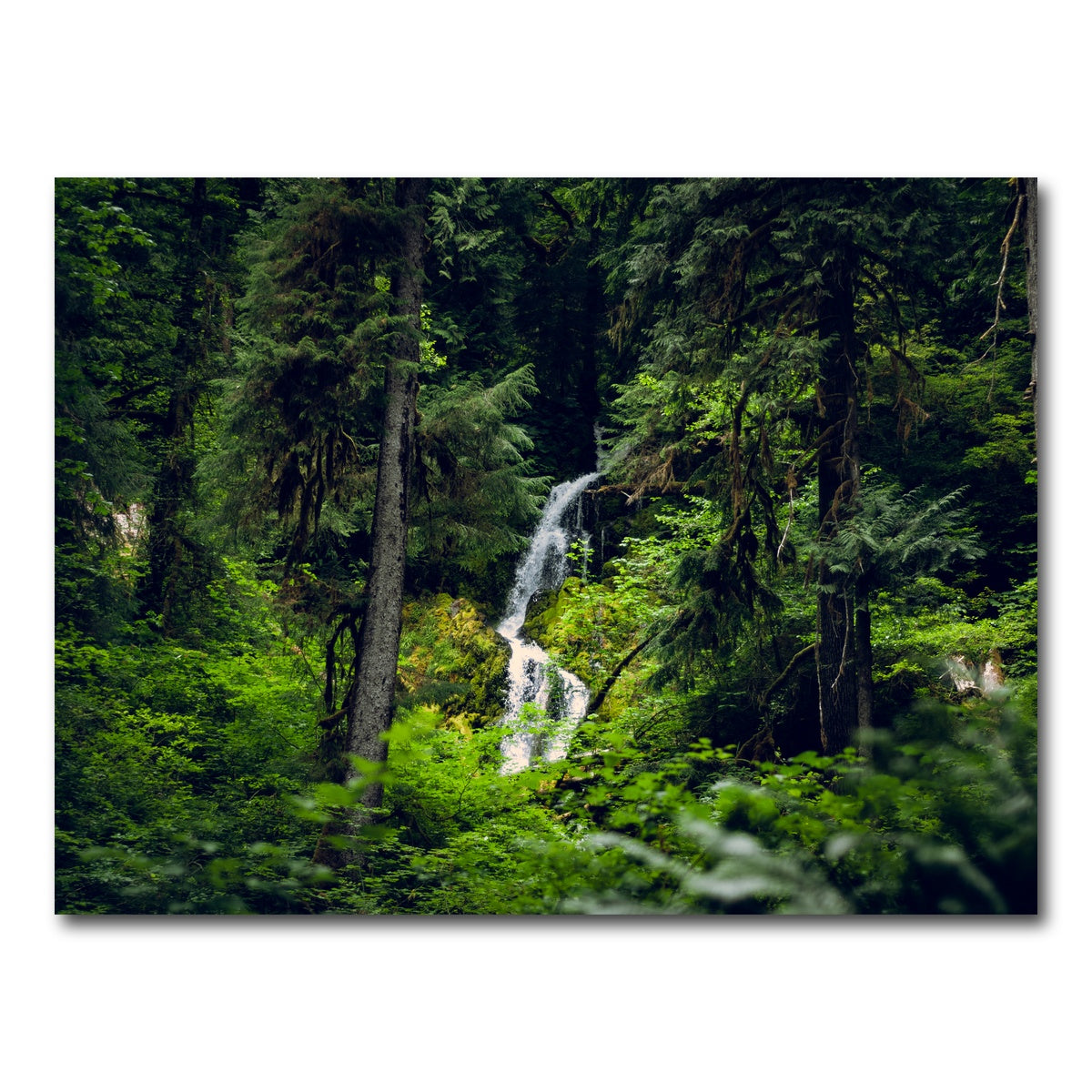 AUTO-MOCKUP WHITE | Rainforest Waterfall | 1 Piece | Gallery Wrap Canvas | group=4x3