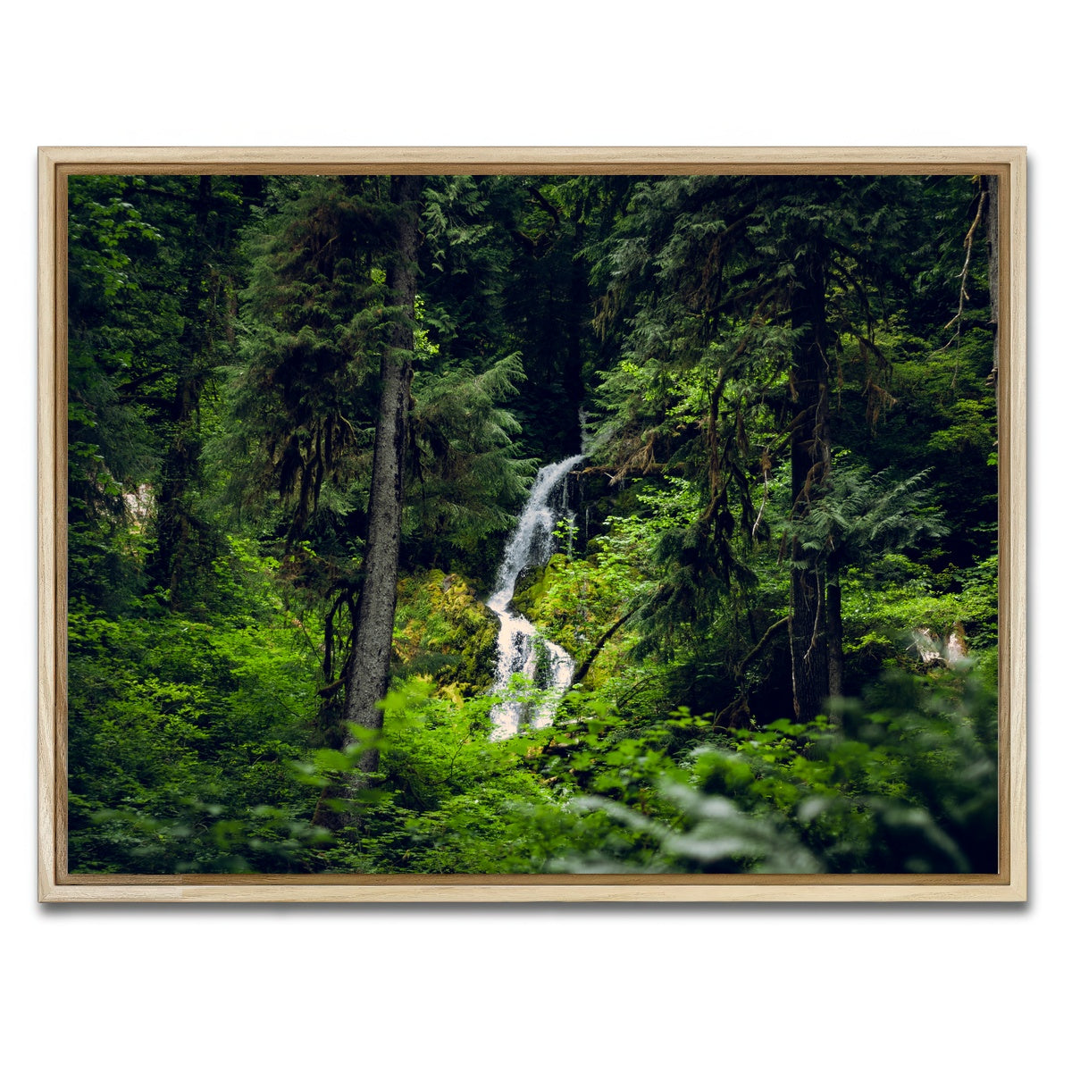 AUTO-MOCKUP WHITE | Rainforest Waterfall | 1 Piece | Natural Framed Canvas | group=4x3