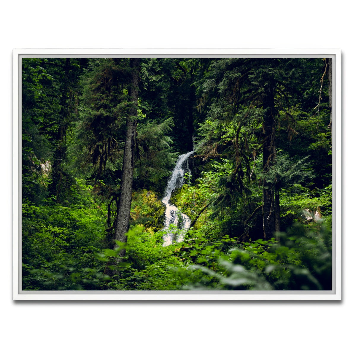 AUTO-MOCKUP WHITE | Rainforest Waterfall | 1 Piece | White Framed Canvas | group=4x3