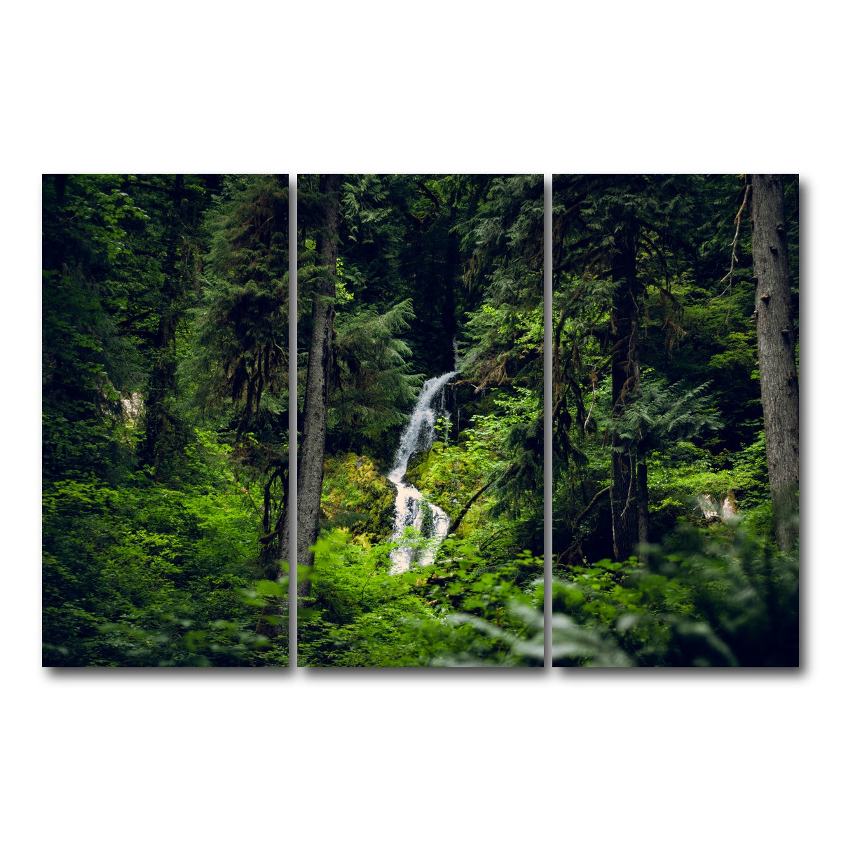 AUTO-MOCKUP WHITE | Rainforest Waterfall | 3 Piece | Gallery Wrap Canvas | group=12x24