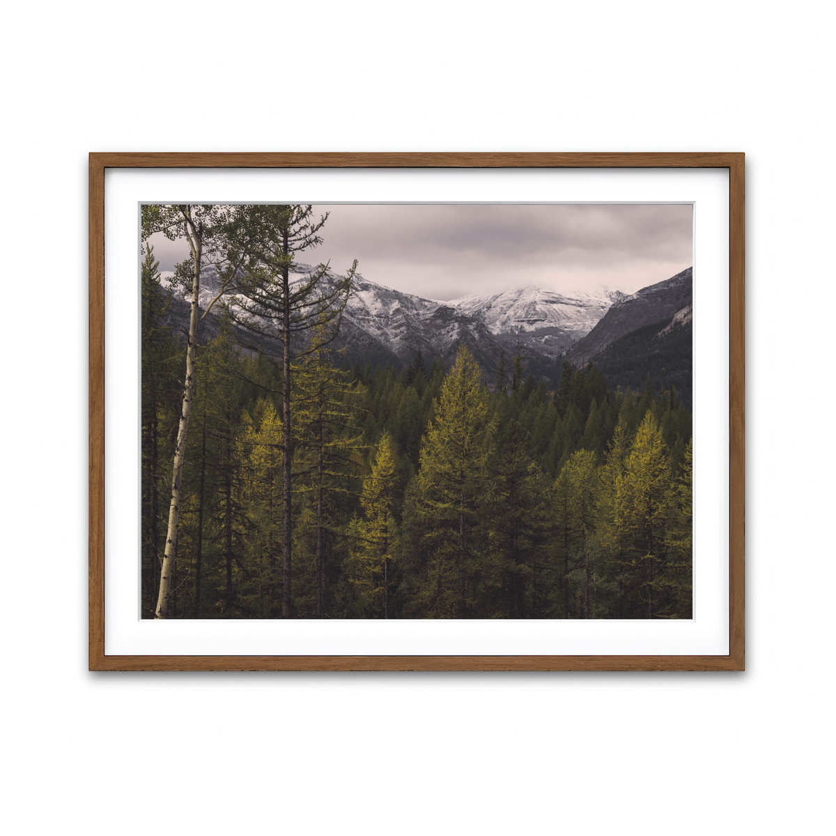 Framed Print 4x3 Walnut