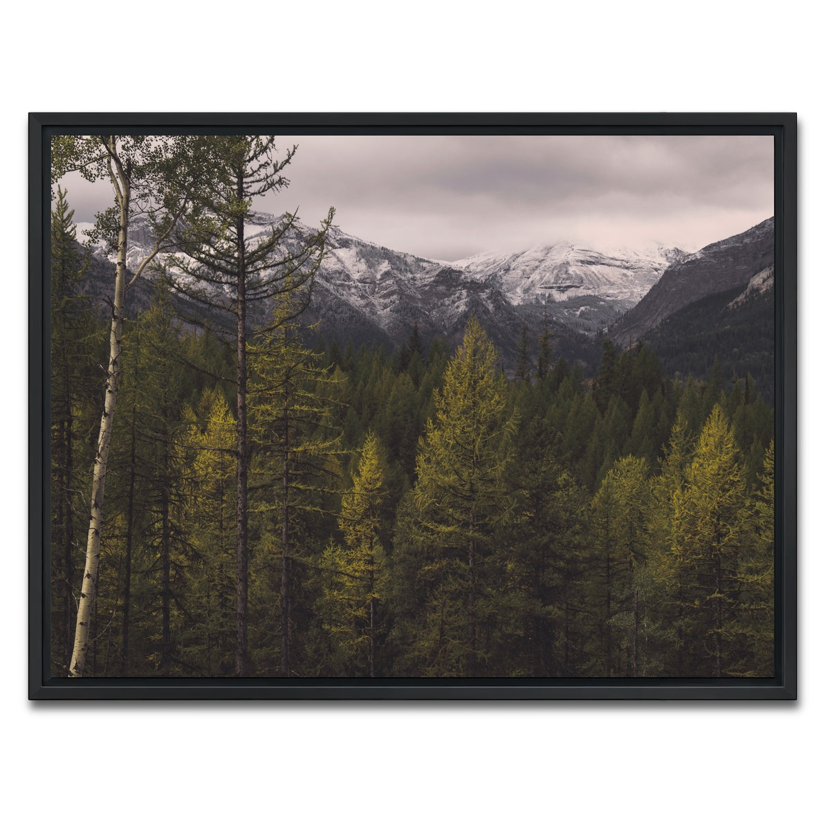 AUTO-MOCKUP WHITE | Range Road | 1 Piece | Black Framed Canvas | group=4x3