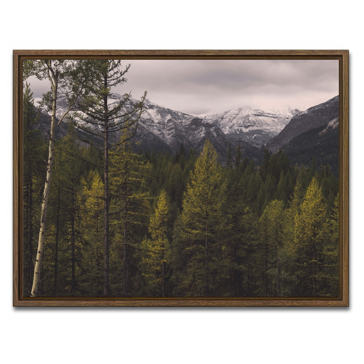 AUTO-MOCKUP WHITE | Range Road | 1 Piece | Walnut Framed Canvas | group=4x3
