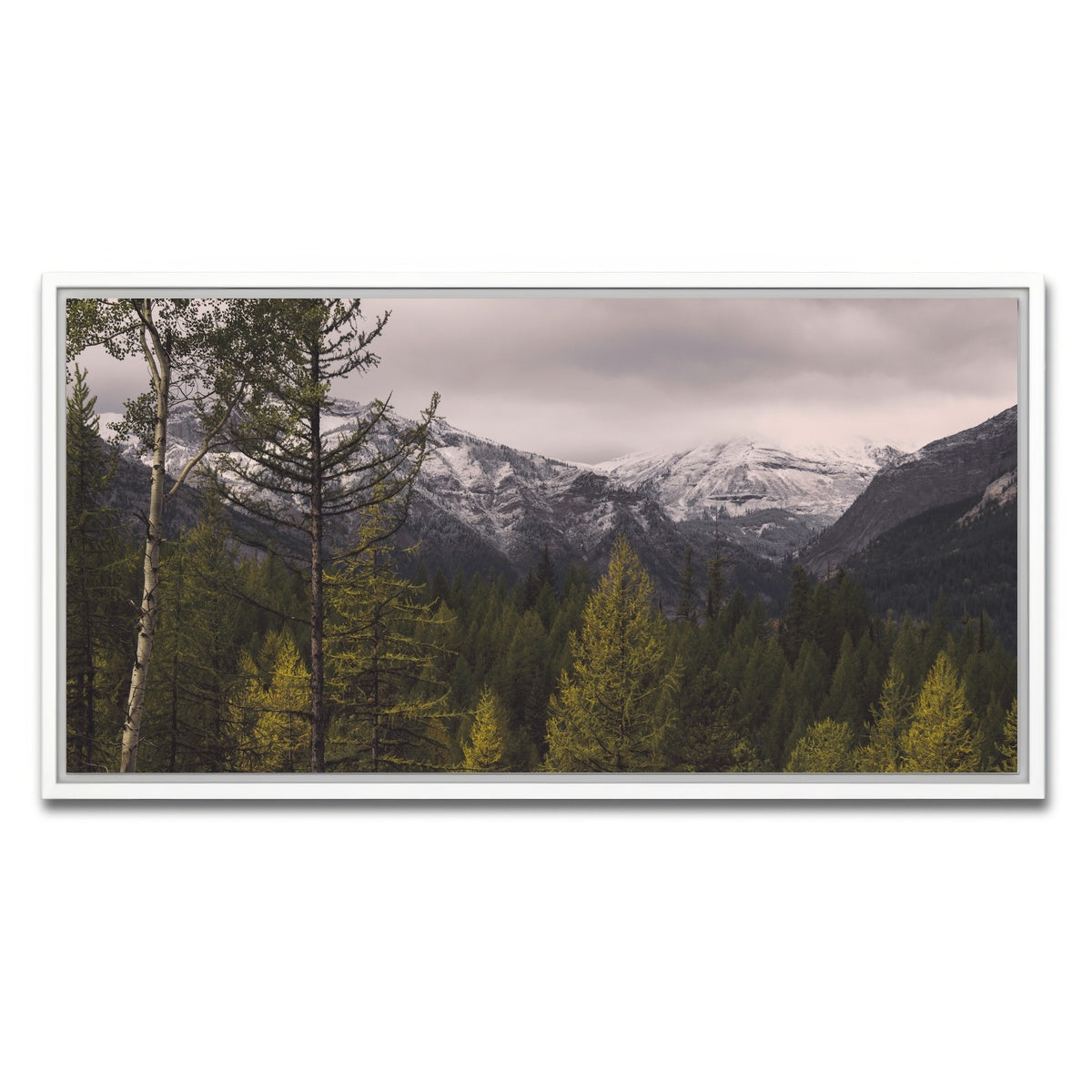 AUTO-MOCKUP WHITE | Range Road | 1 Piece | White Framed Canvas | group=2x1