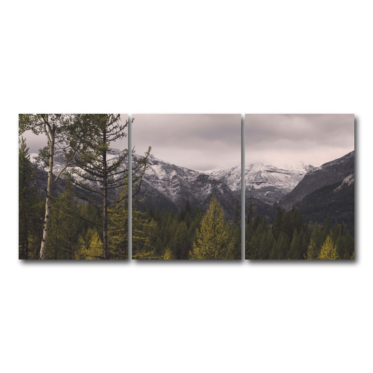AUTO-MOCKUP WHITE | Range Road | 3 Piece | Gallery Wrap Canvas | group=18x24