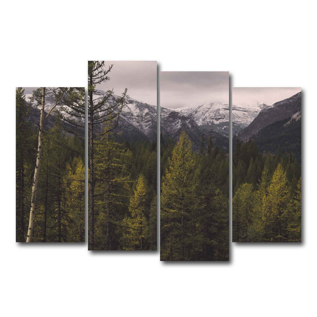AUTO-MOCKUP WHITE | Range Road | 4 Piece | Gallery Wrap Canvas | group=4_normal