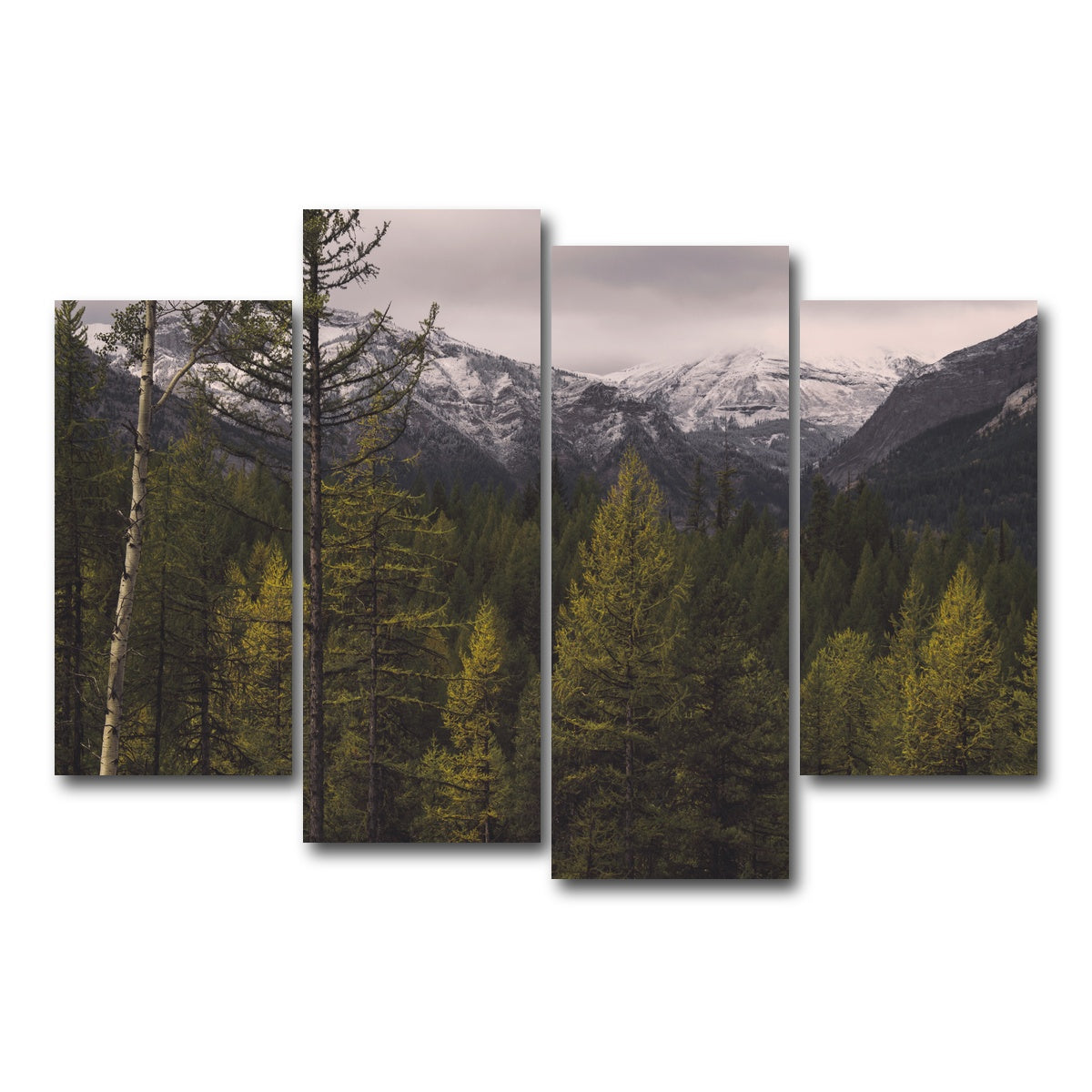 AUTO-MOCKUP WHITE | Range Road | 4 Piece | Gallery Wrap Canvas | group=4_short