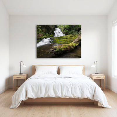 AUTO-MOCKUP ROOM | Rattlesnake Falls