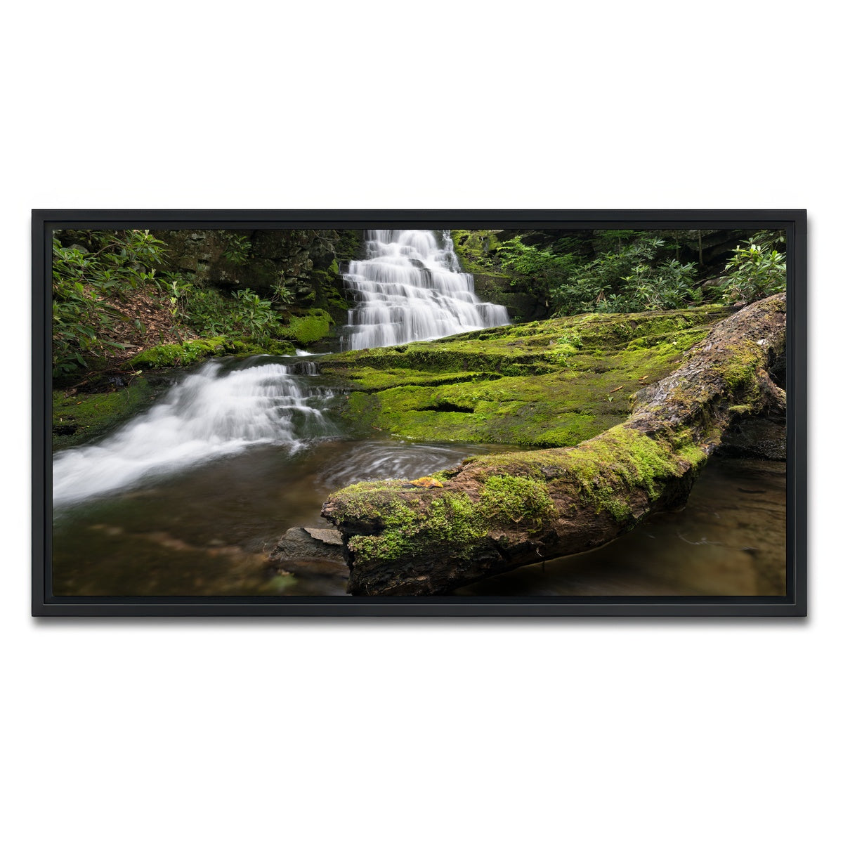 AUTO-MOCKUP WHITE | Rattlesnake Falls | 1 Piece | Black Framed Canvas | group=2x1