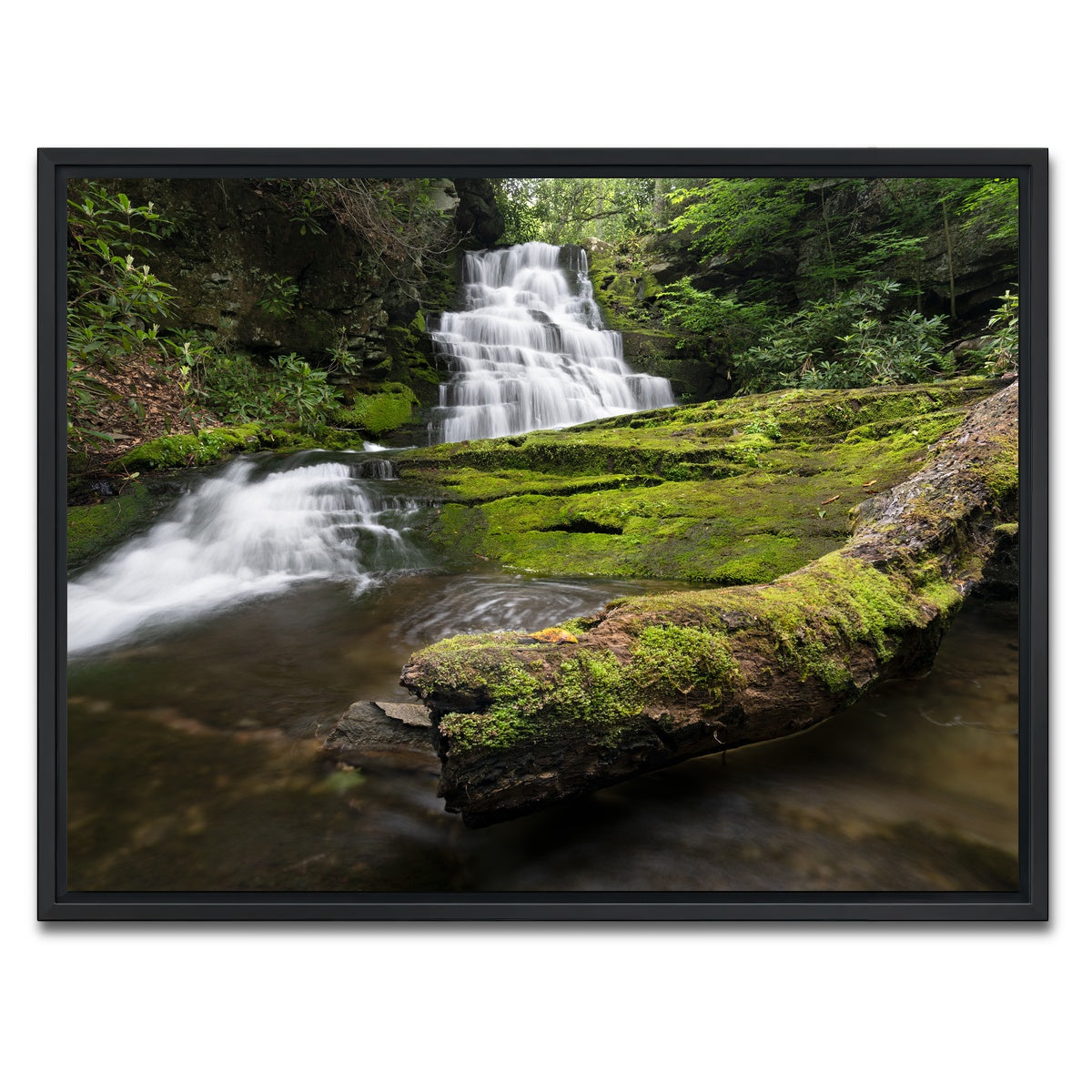 AUTO-MOCKUP WHITE | Rattlesnake Falls | 1 Piece | Black Framed Canvas | group=4x3