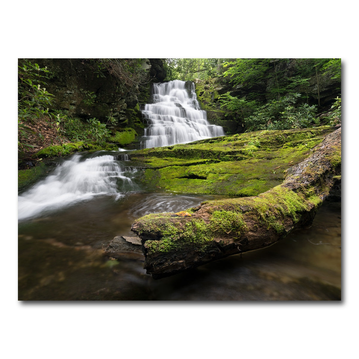 AUTO-MOCKUP WHITE | Rattlesnake Falls | 1 Piece | Gallery Wrap Canvas | group=4x3