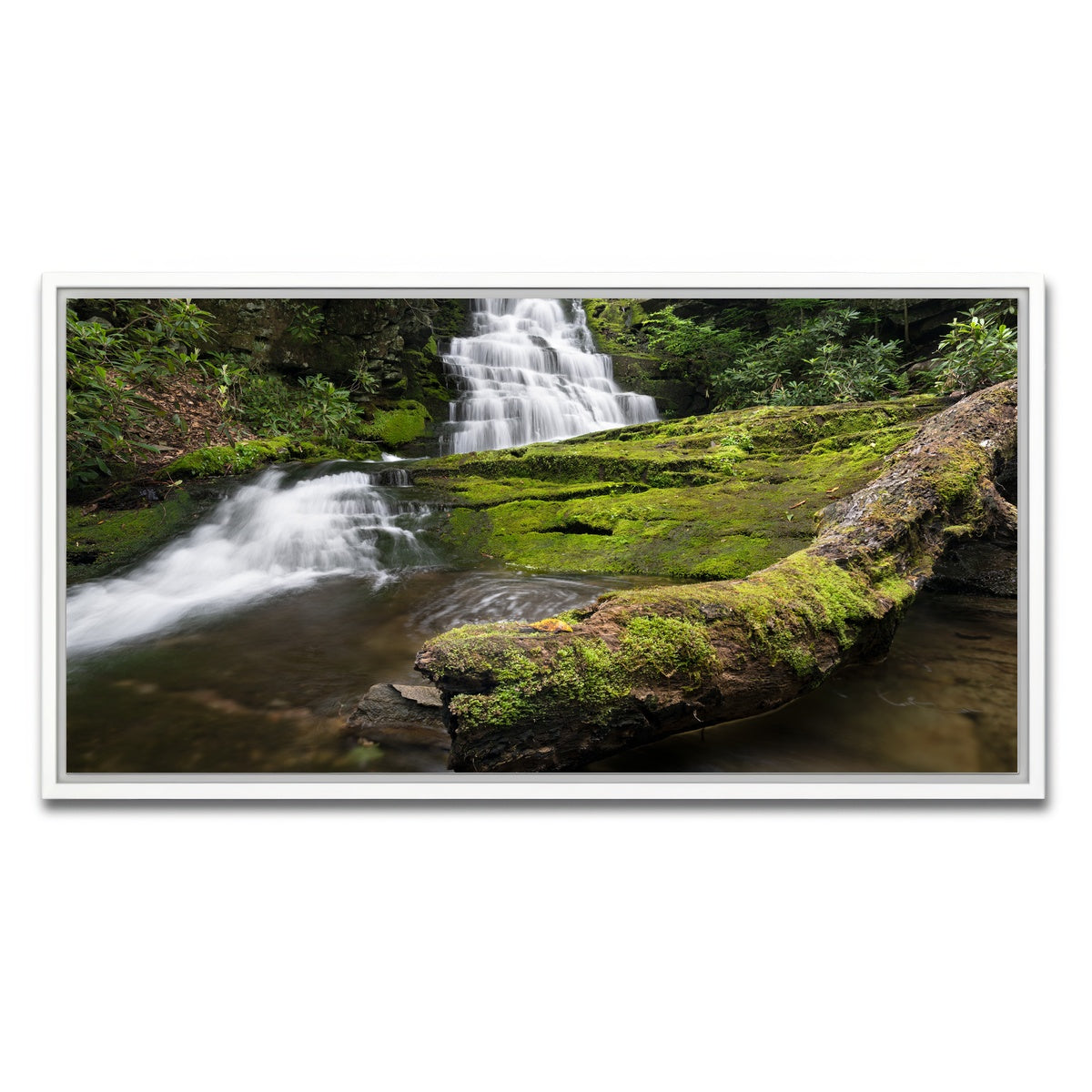 AUTO-MOCKUP WHITE | Rattlesnake Falls | 1 Piece | White Framed Canvas | group=2x1