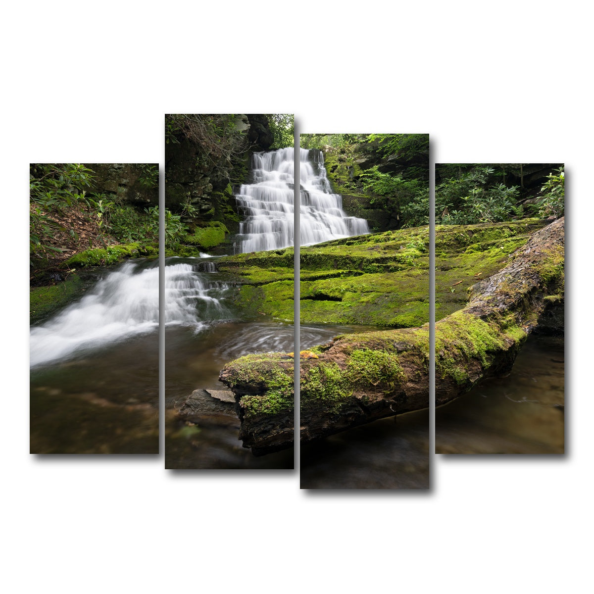 AUTO-MOCKUP WHITE | Rattlesnake Falls | 4 Piece | Gallery Wrap Canvas | group=4_normal