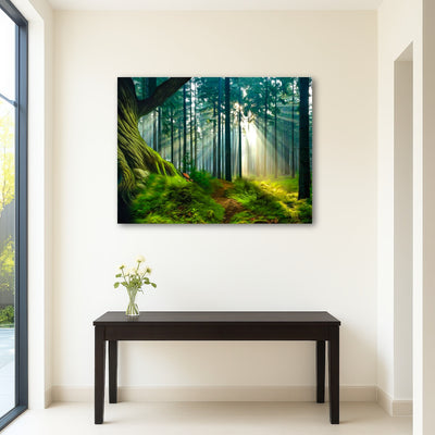 AUTO-MOCKUP ROOM | Rays of Wonder