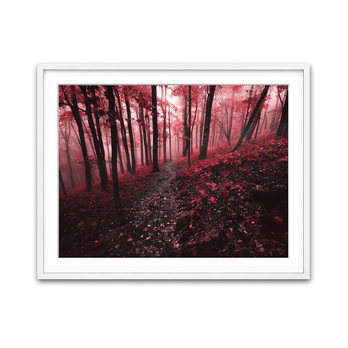 Framed Print 4x3 White