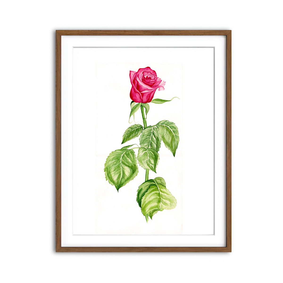 Framed Print 3x4 Walnut