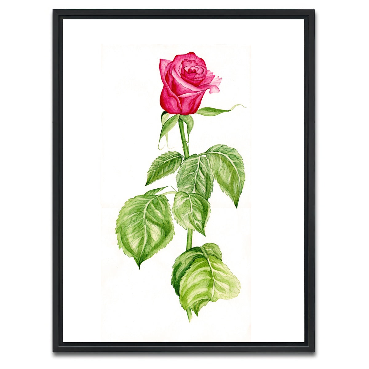 AUTO-MOCKUP WHITE | Red Rose | 1 Piece | Black Framed Canvas | group=3x4