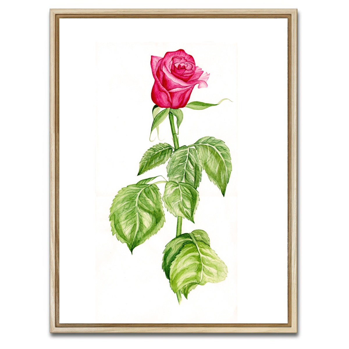 AUTO-MOCKUP WHITE | Red Rose | 1 Piece | Natural Framed Canvas | group=3x4