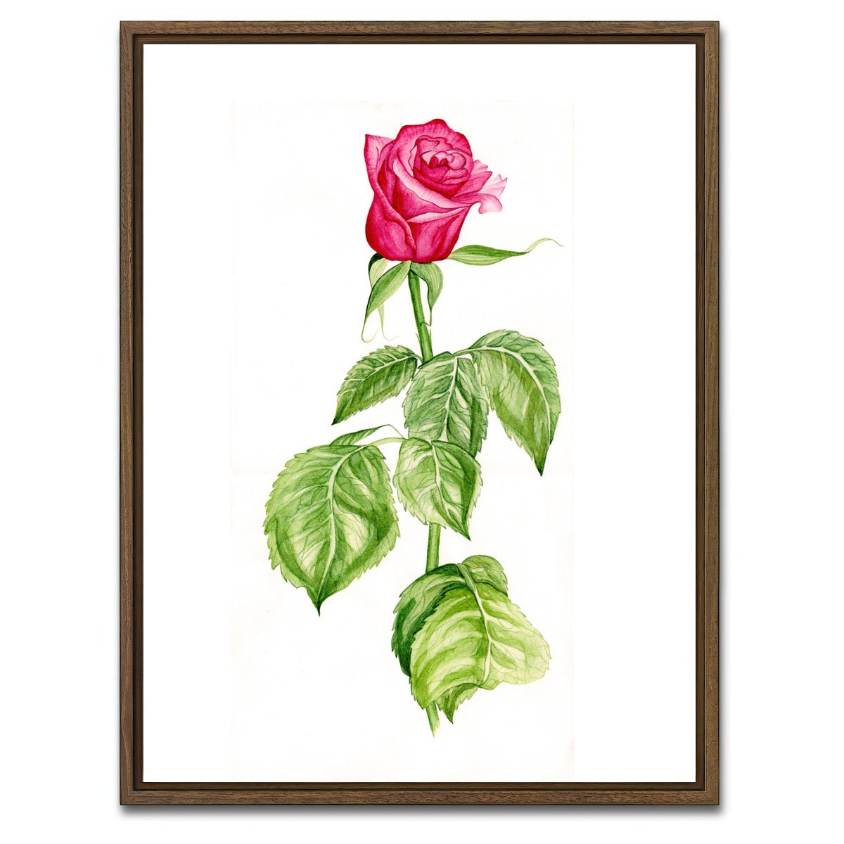AUTO-MOCKUP WHITE | Red Rose | 1 Piece | Walnut Framed Canvas | group=3x4