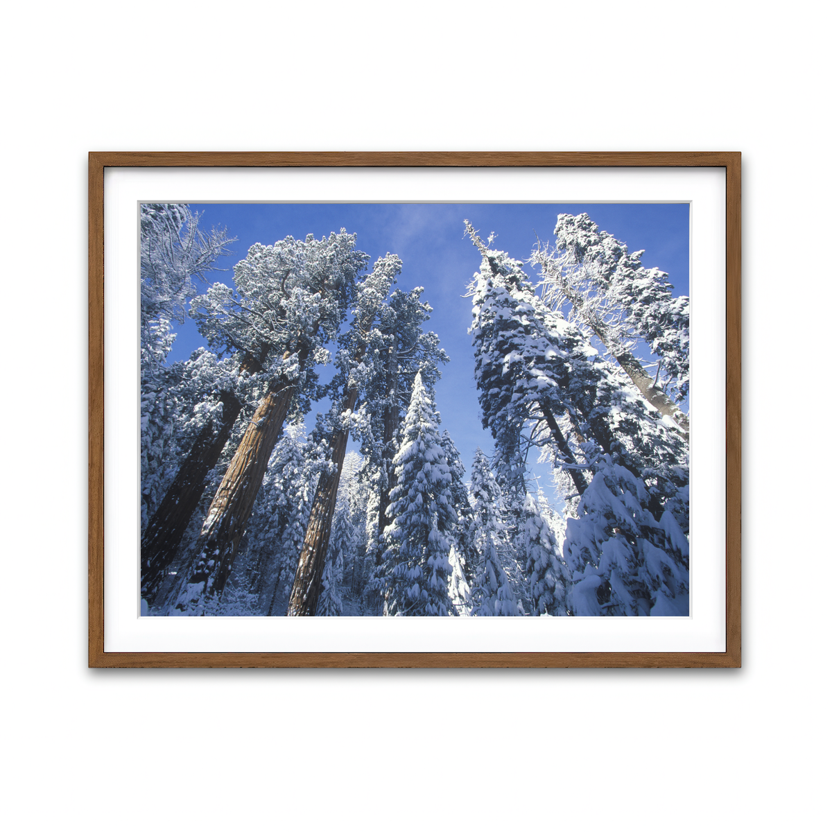 Framed Print 4x3 Walnut