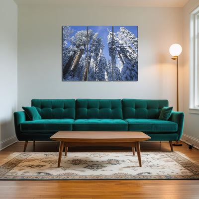 AUTO-MOCKUP ROOM | Redwoods Covered in Snow