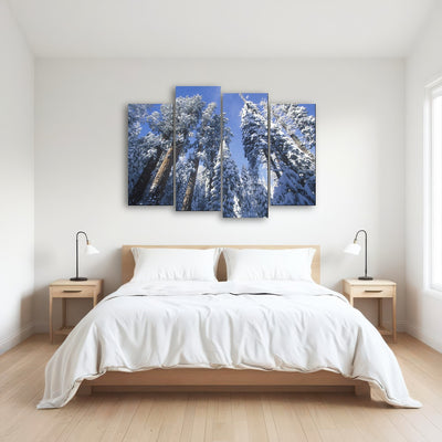 AUTO-MOCKUP ROOM | Redwoods Covered in Snow