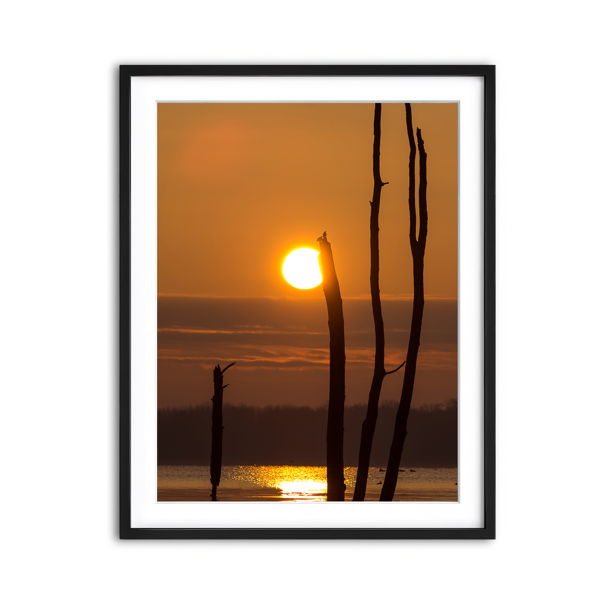 Framed Print 3x4 Black