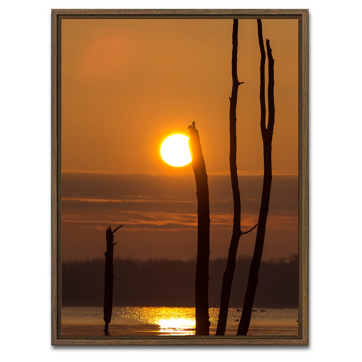 AUTO-MOCKUP WHITE | Reflective Sun | 1 Piece | Walnut Framed Canvas | group=3x4