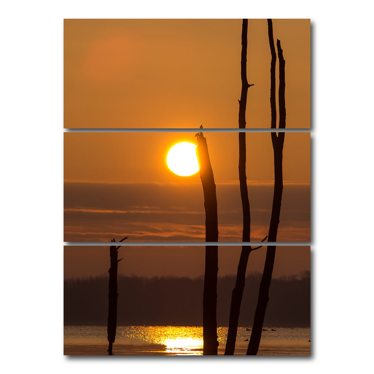 AUTO-MOCKUP WHITE | Reflective Sun | 3 Piece | Gallery Wrap Canvas | group=8x18_stacked