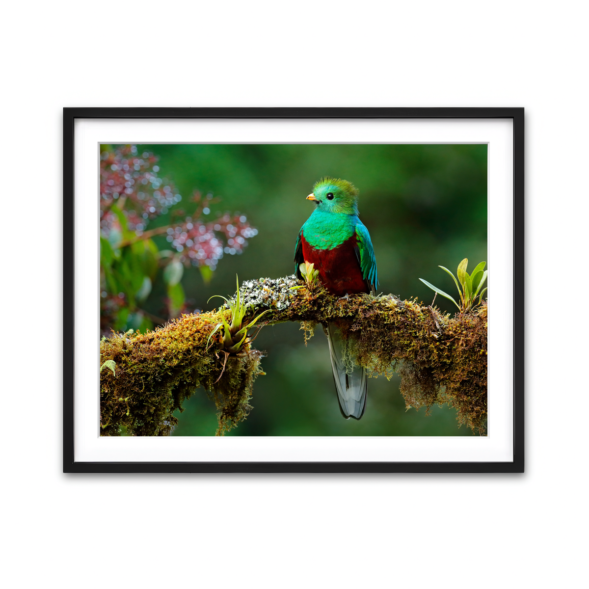 Framed Print 4x3 Black