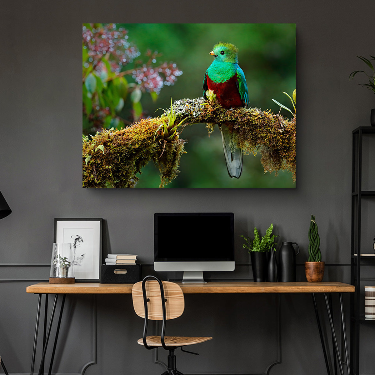 Resplendent Quetzal Wall Art