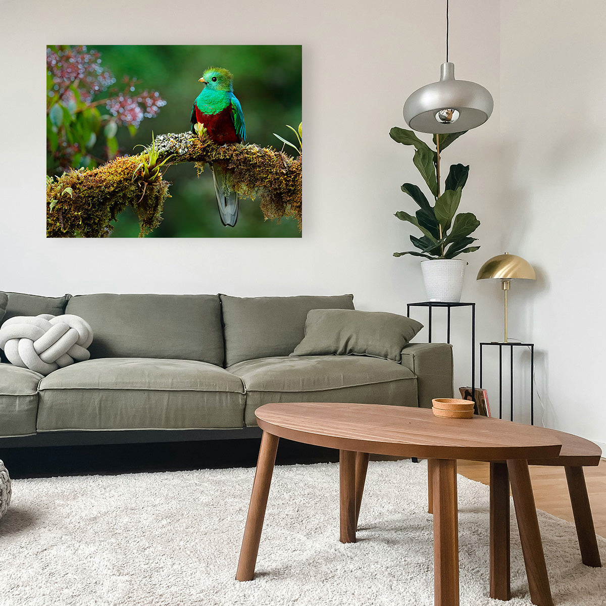 Resplendent Quetzal Wall Art