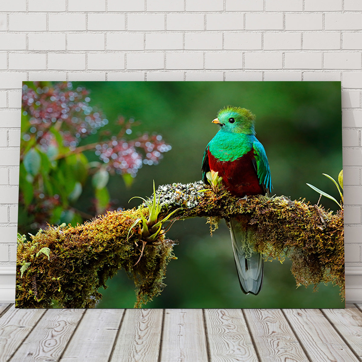 Resplendent Quetzal Wall Art