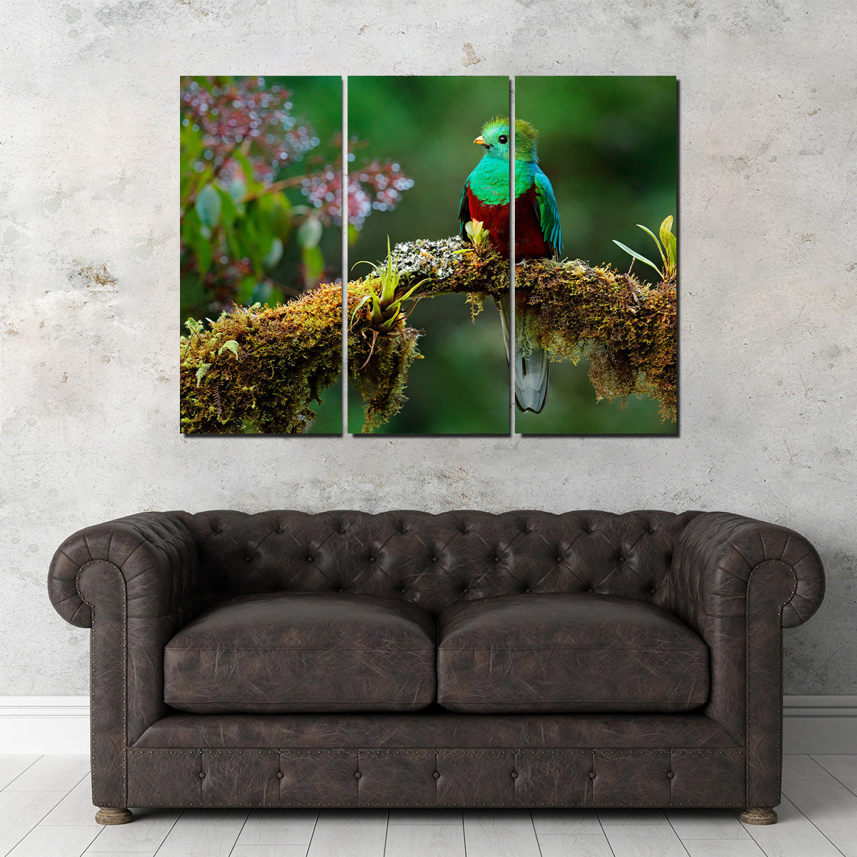 Resplendent Quetzal Wall Art