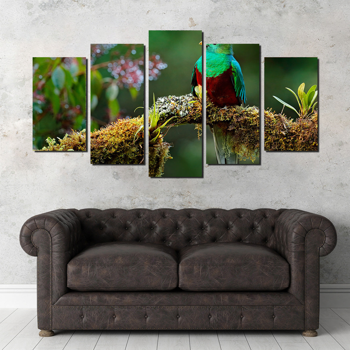 Resplendent Quetzal Wall Art
