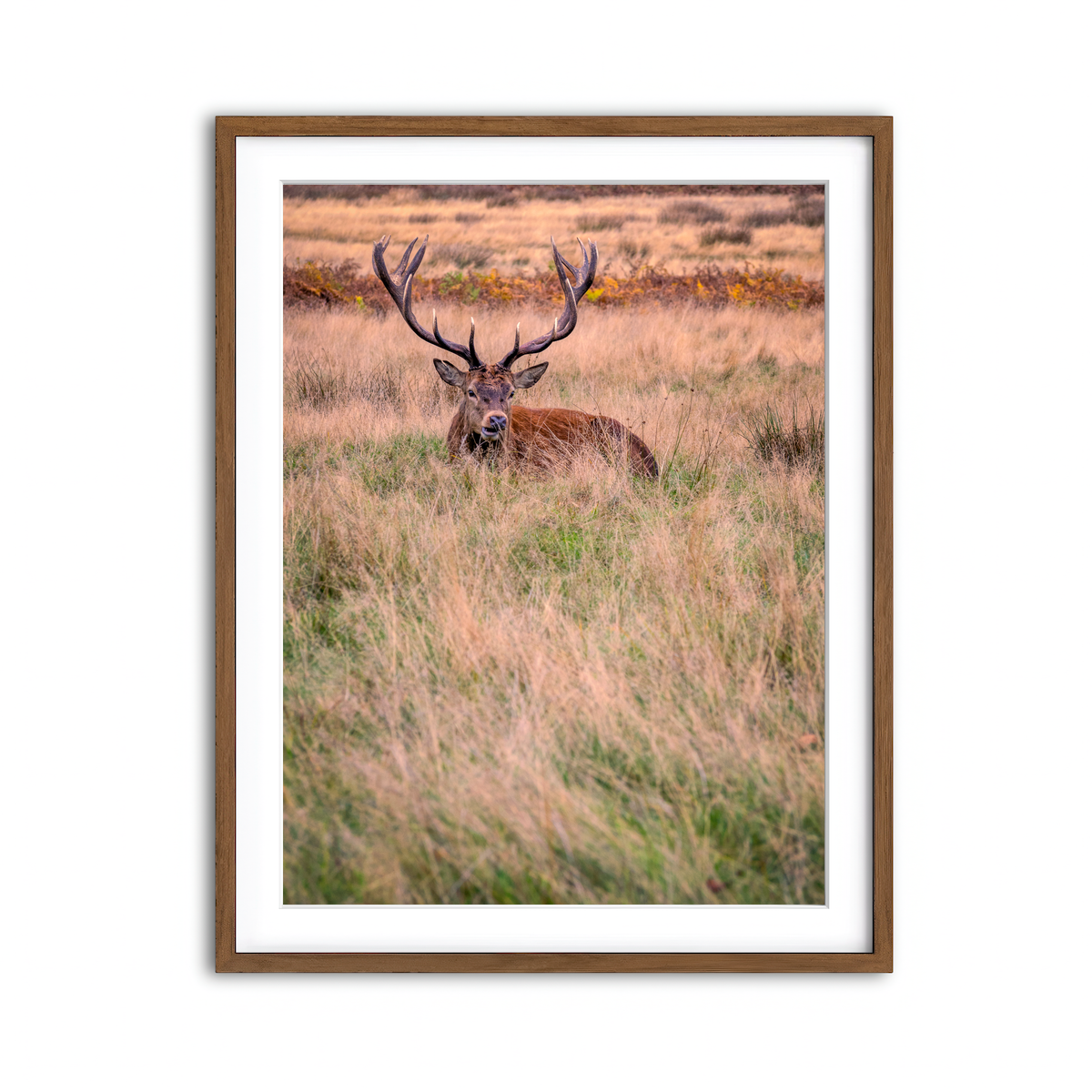 Framed Print 3x4 Walnut