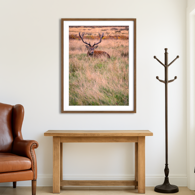 AUTO-MOCKUP ROOM | Richmond Park Wall Art