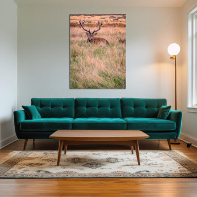 AUTO-MOCKUP ROOM | Richmond Park