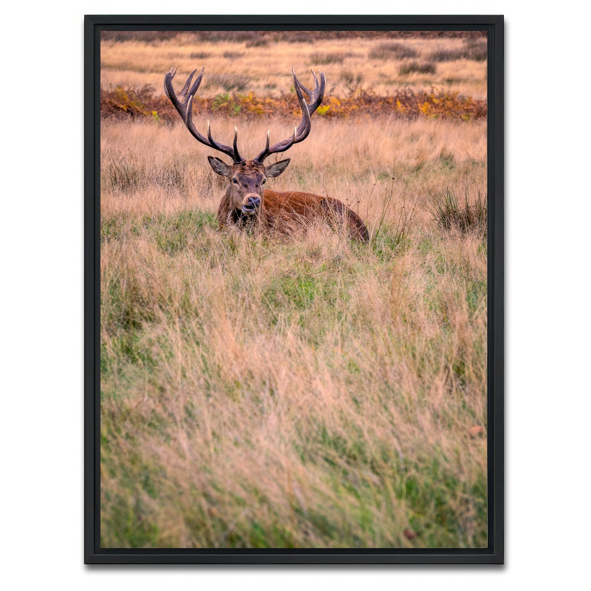 AUTO-MOCKUP WHITE | Richmond Park | 1 Piece | Black Framed Canvas | group=3x4