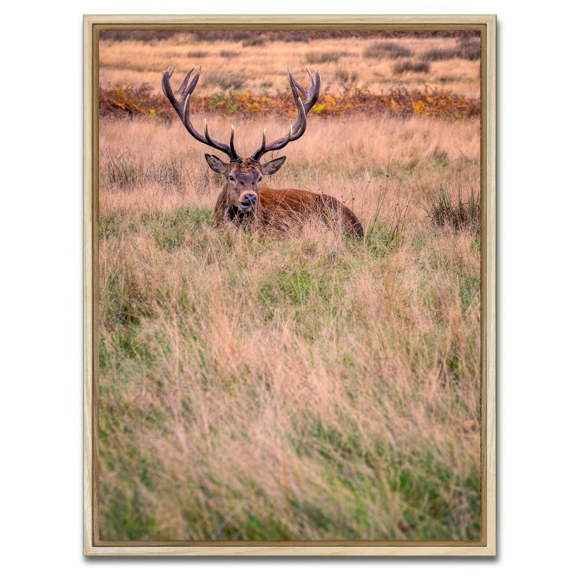 AUTO-MOCKUP WHITE | Richmond Park | 1 Piece | Natural Framed Canvas | group=3x4